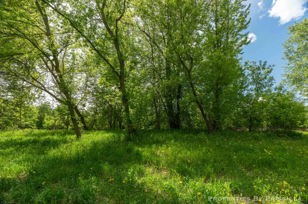 7251 Midland Road Tittabawassee Township MI 48623