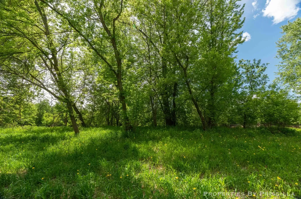 7251 Midland Road Tittabawassee Township MI 48623