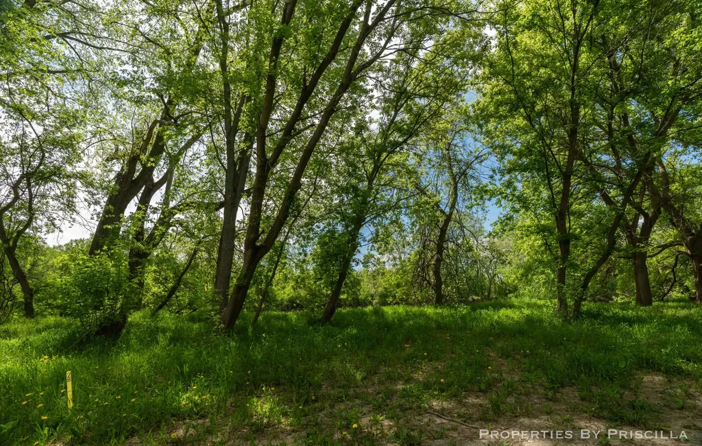 7251 Midland Road Tittabawassee Township MI 48623