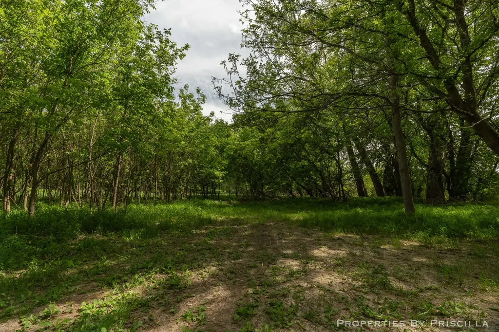 7251 Midland Road Tittabawassee Township MI 48623