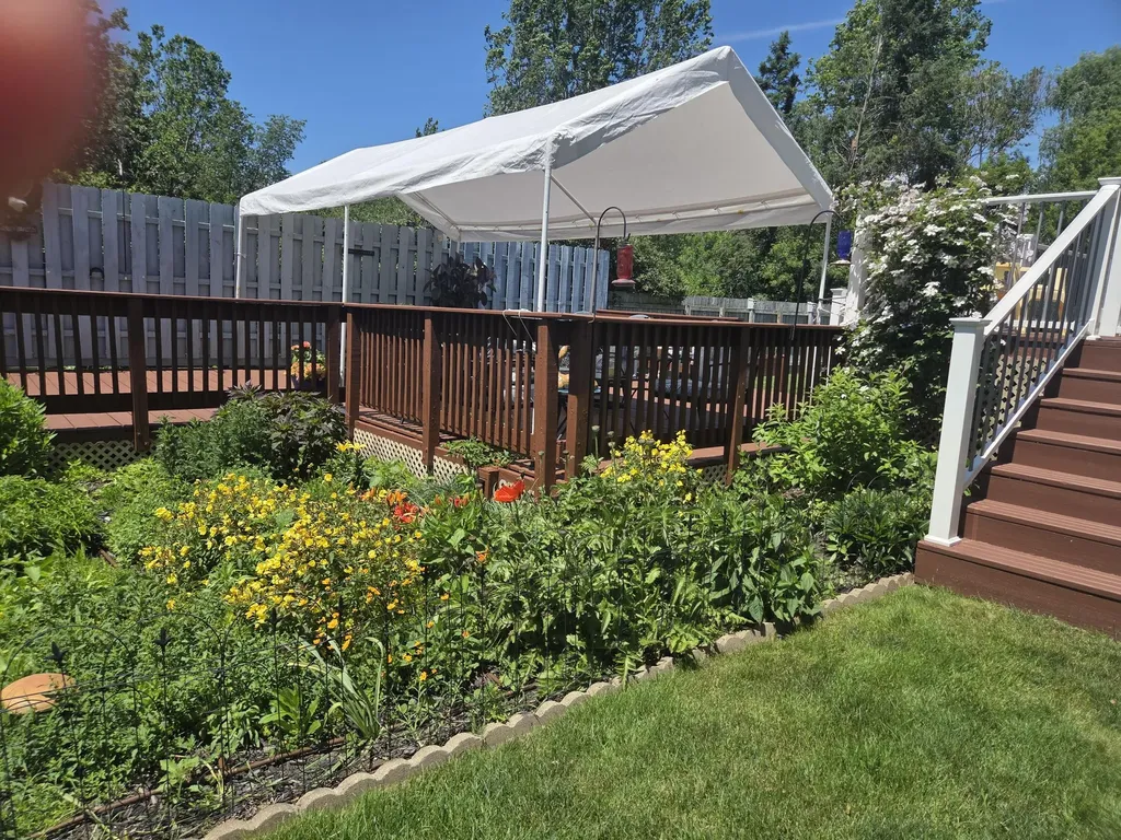 1213 Hayes Street Tallmadge Charter Township MI 49435
