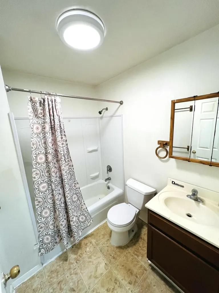 3481-3489 S Summerton Road Chippewa Township MI 48858