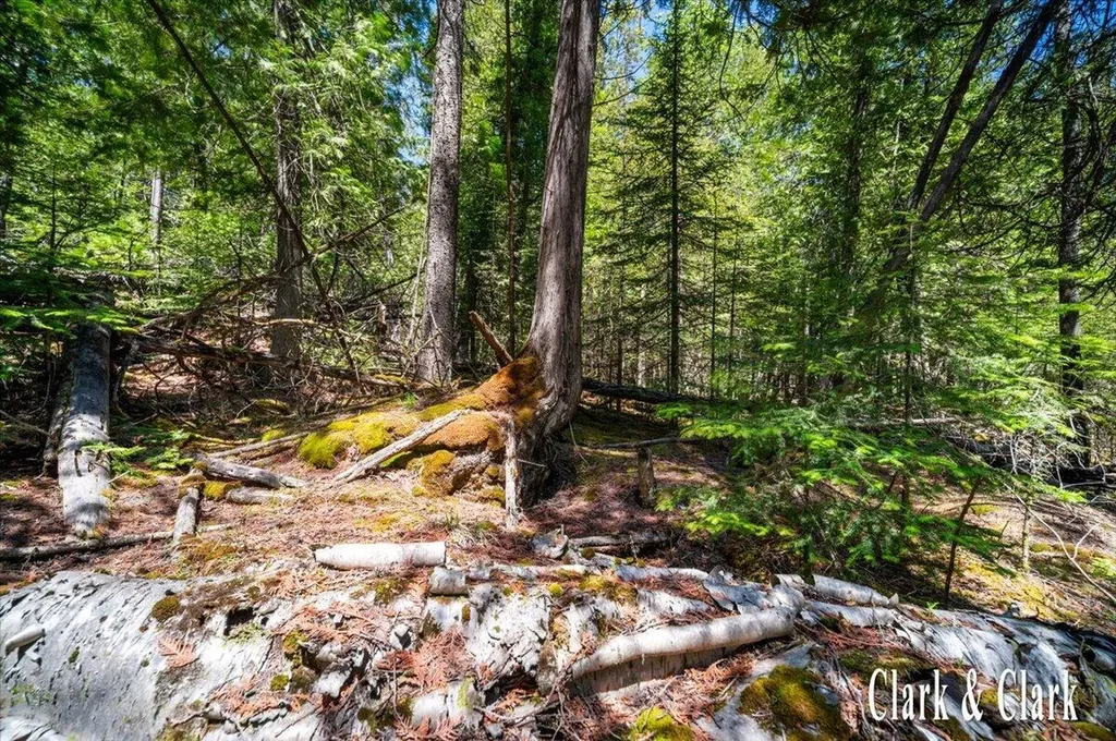 35965 S Humms Road Unknown City MI 49726