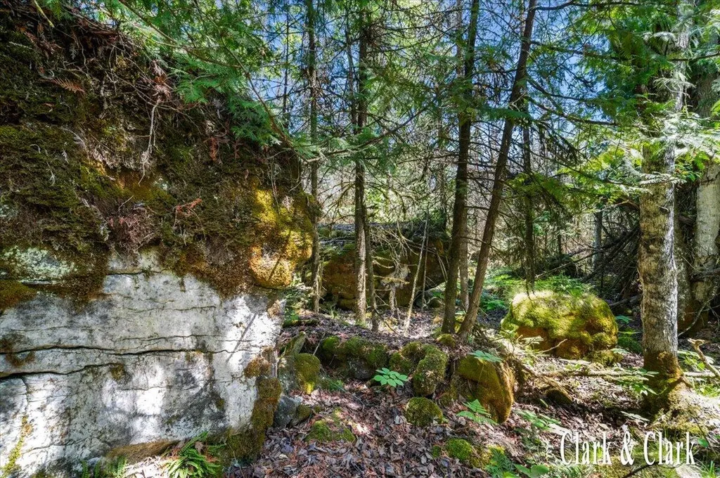 35965 S Humms Road Unknown City MI 49726