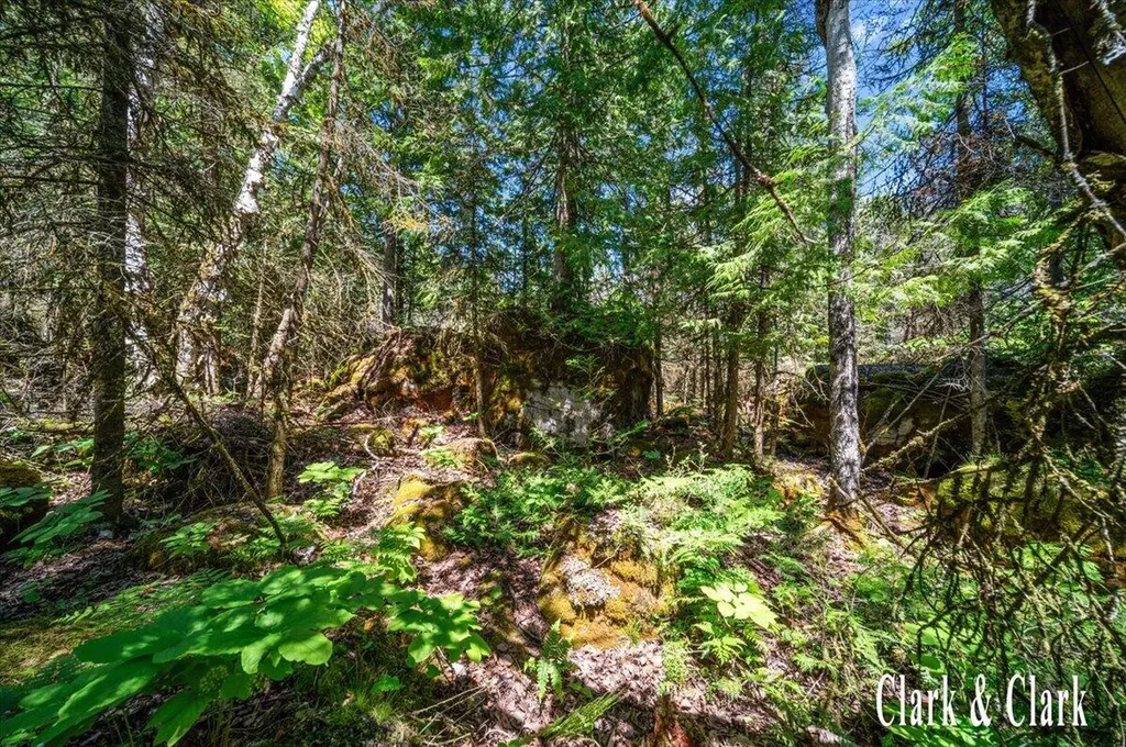 35965 S Humms Road Unknown City MI 49726