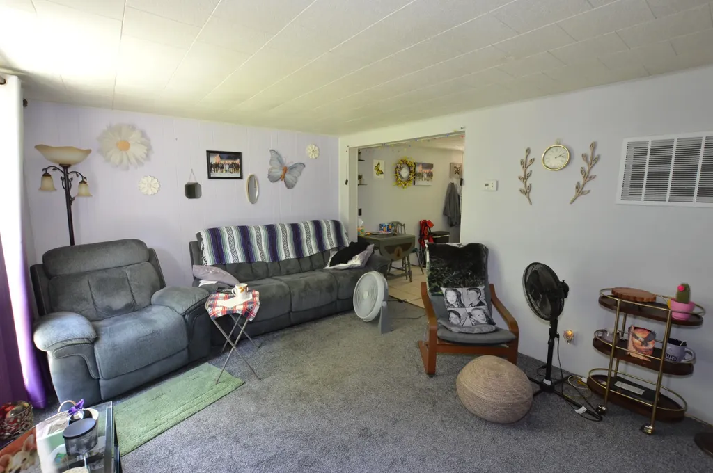 133 Niles Street Unknown City MI 48850