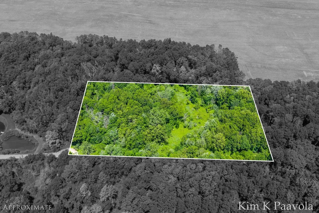 12909 Victory Woods Drive NE Vergennes Township MI 49331