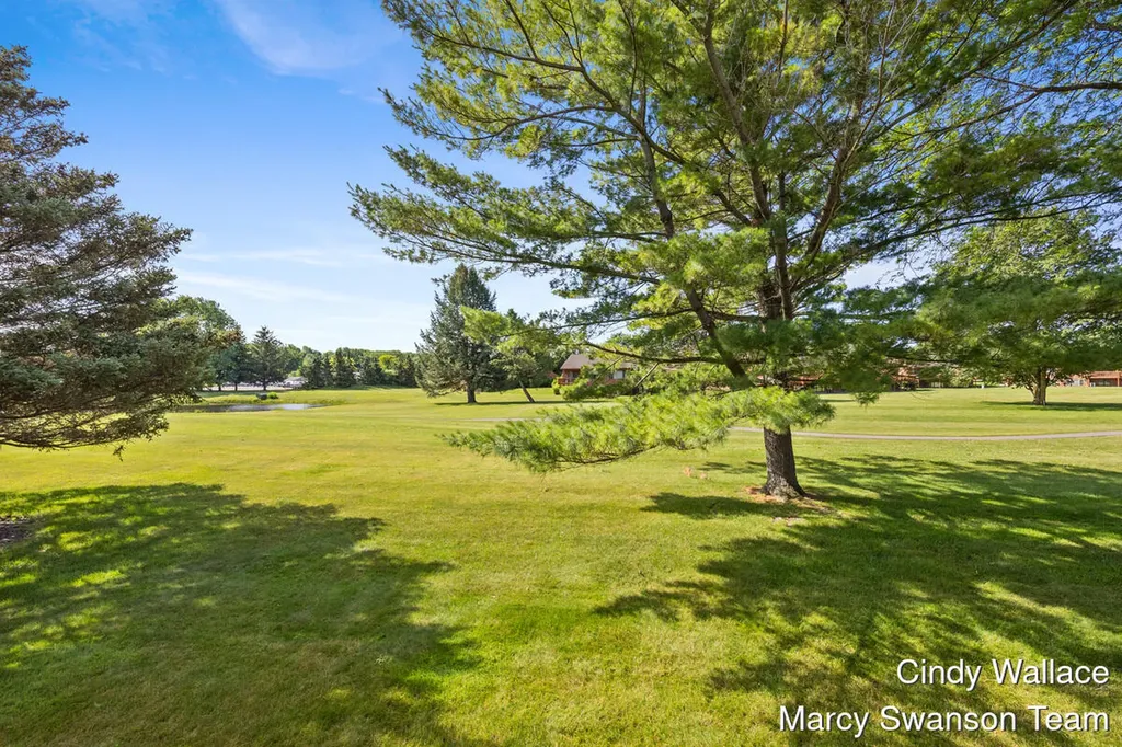 1346 Bent Tree Drive Georgetown Charter Township MI 49426
