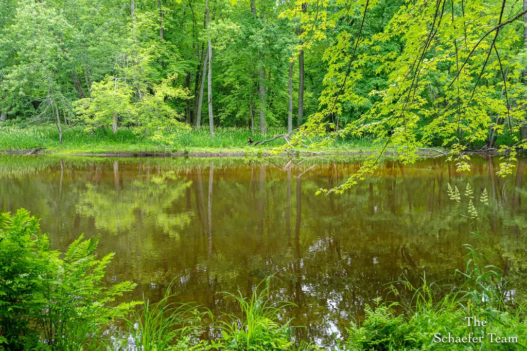 5227 S Johnson Road Montcalm Township MI 48838