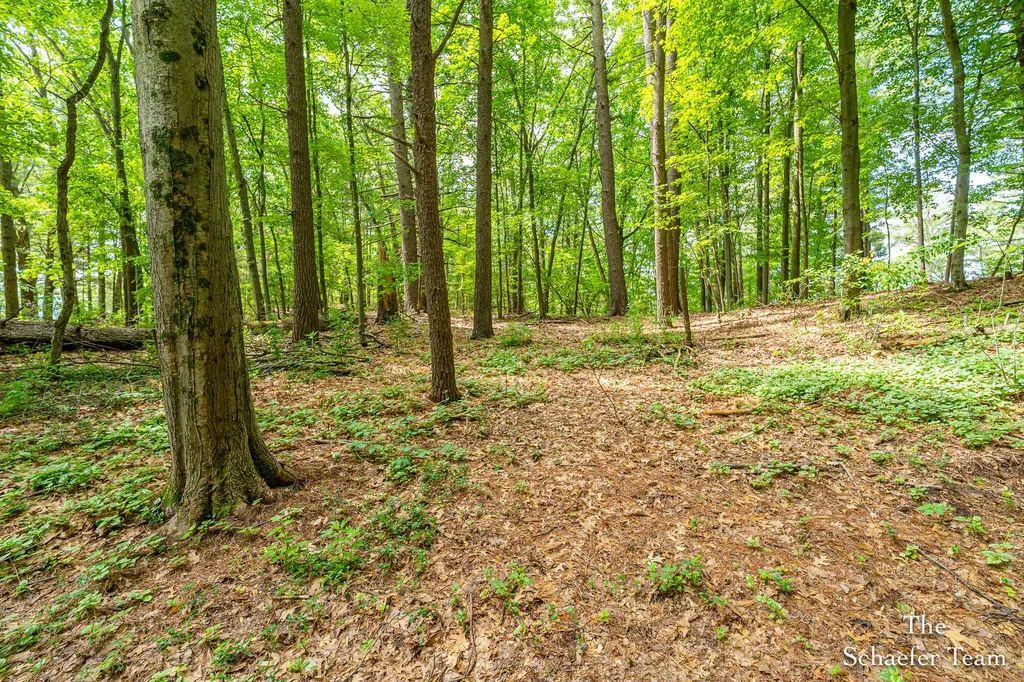 10870 Simpson W Oakfield Township MI 48838