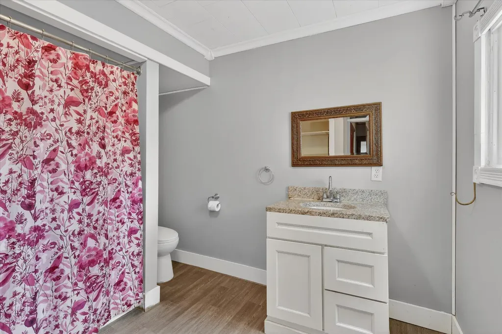 282 Liberty Street Ionia Township MI 48860