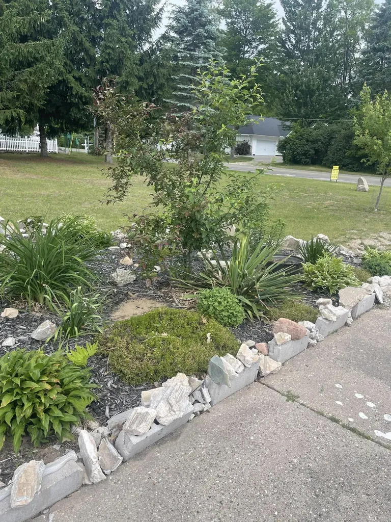 1807 S Lake Mitchell Drive Cherry Grove Township MI 49601
