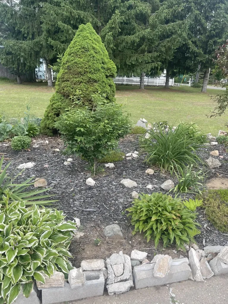 1807 S Lake Mitchell Drive Cherry Grove Township MI 49601