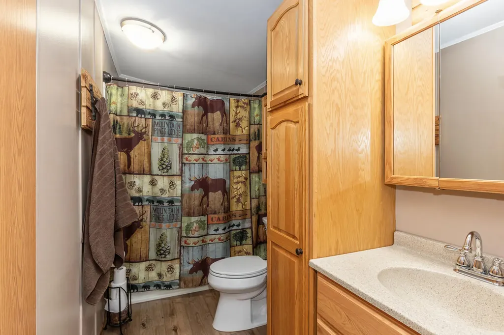 6009 Keeney Drive Belvidere Township MI 48886