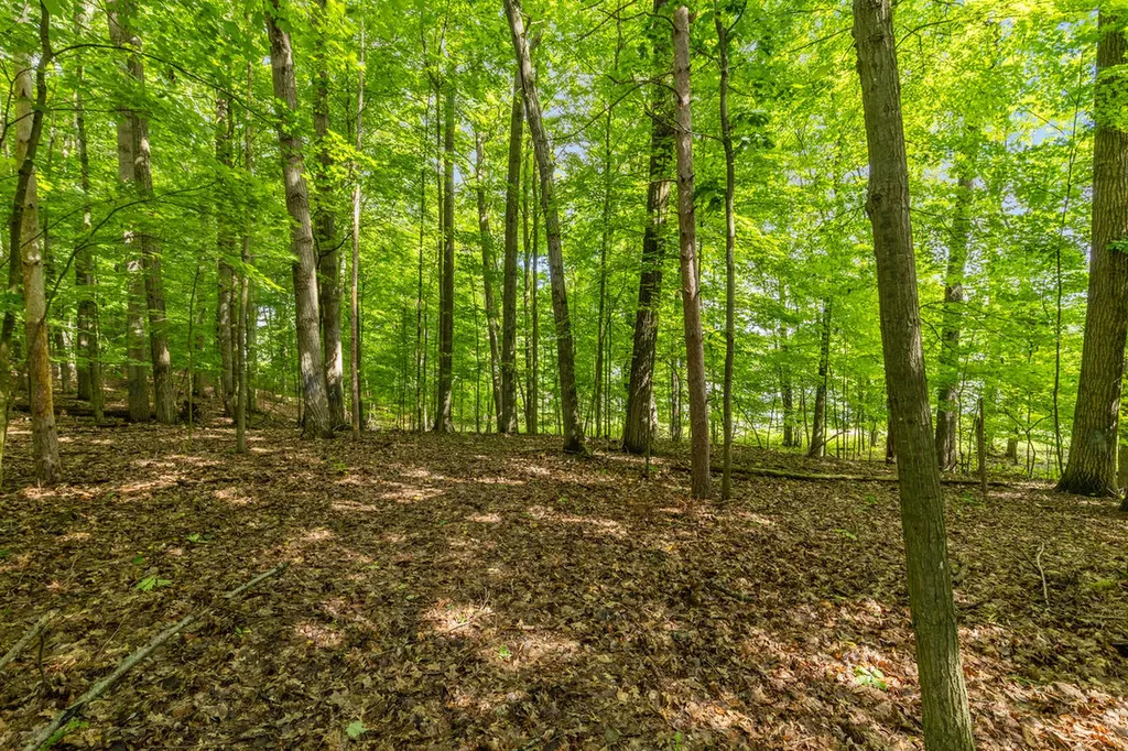 6009 Keeney Drive Belvidere Township MI 48886