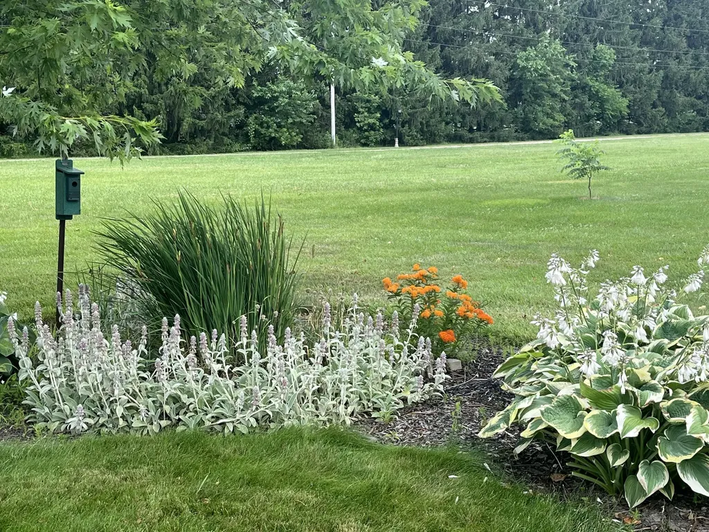 1991 Riley Street Jamestown Charter Township MI 49426