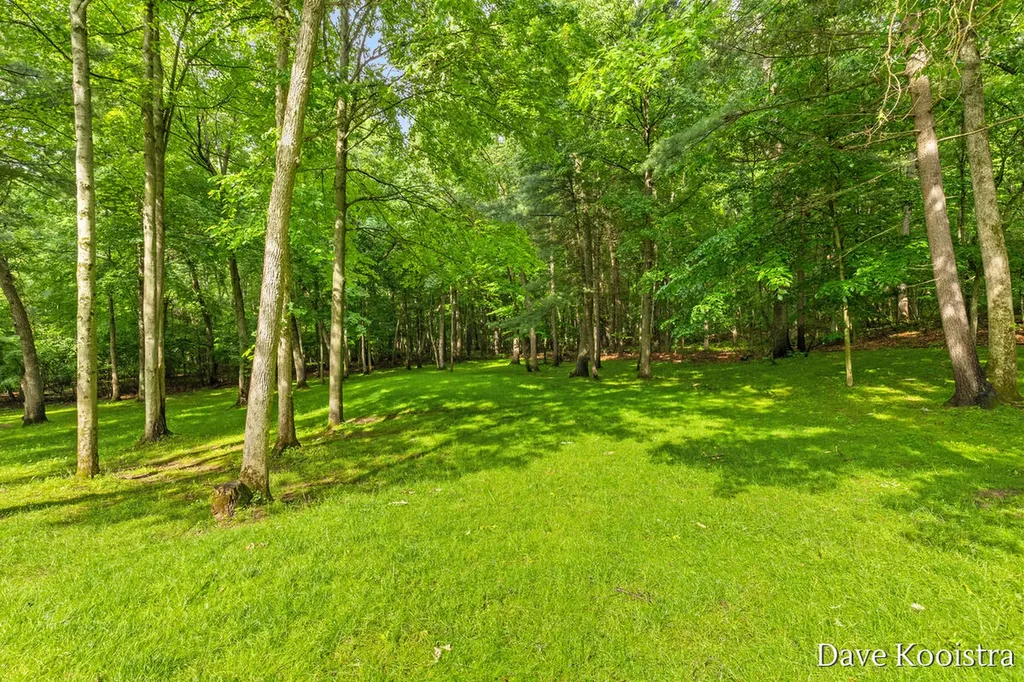 5133 Streamside Court NE Courtland Township MI 49341