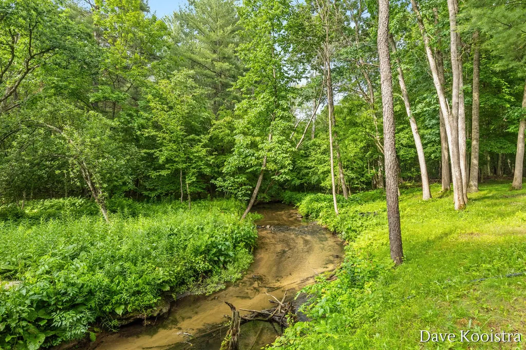 5133 Streamside Court NE Courtland Township MI 49341