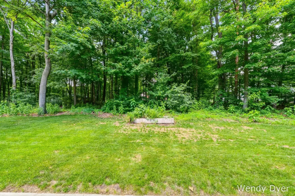 6681 Wood Hollow Court Allendale Charter Township MI 49401