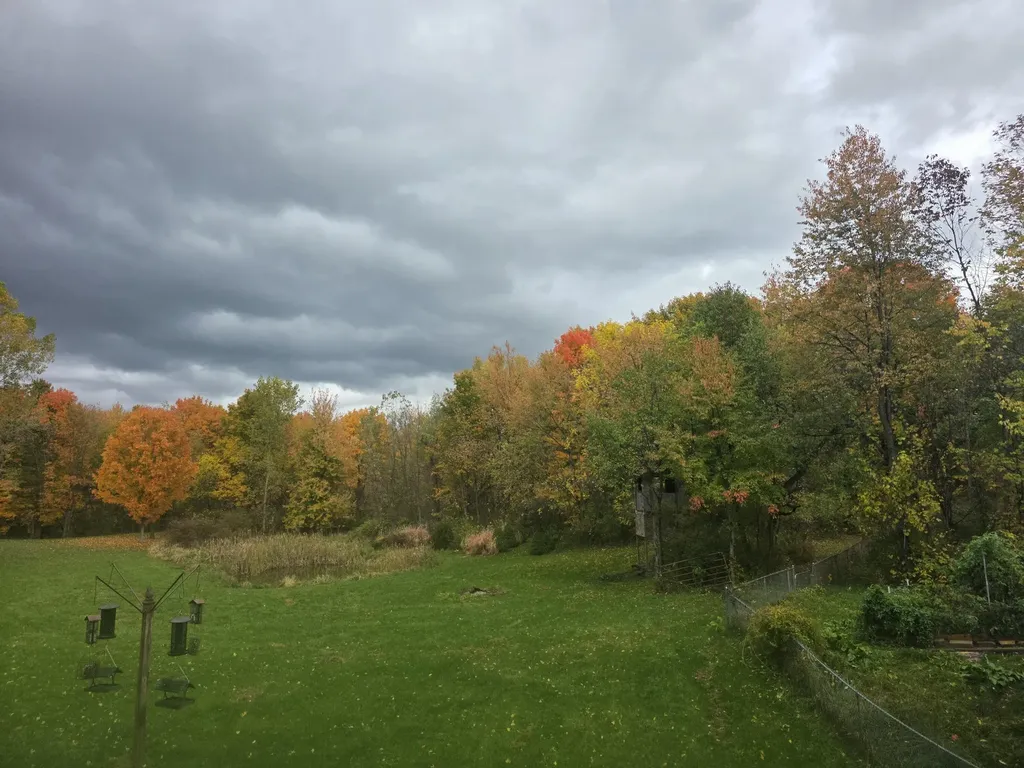 1525 104th Street SW Byron Township MI 49315