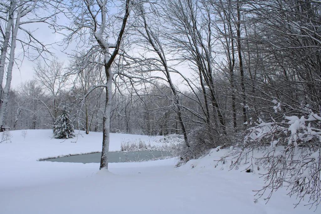 1525 104th Street SW Byron Township MI 49315