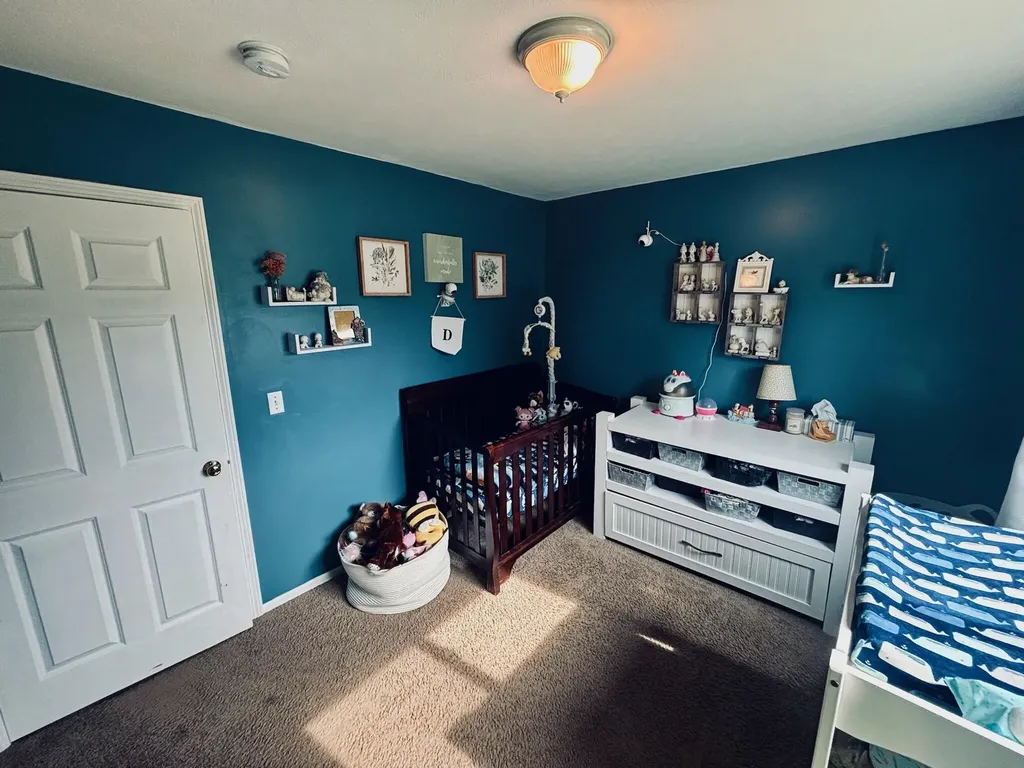 6097 S Johnson Road Montcalm Township MI 48838