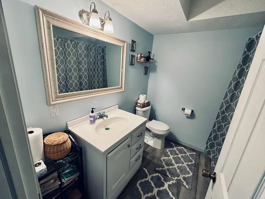 6097 S Johnson Road Montcalm Township MI 48838