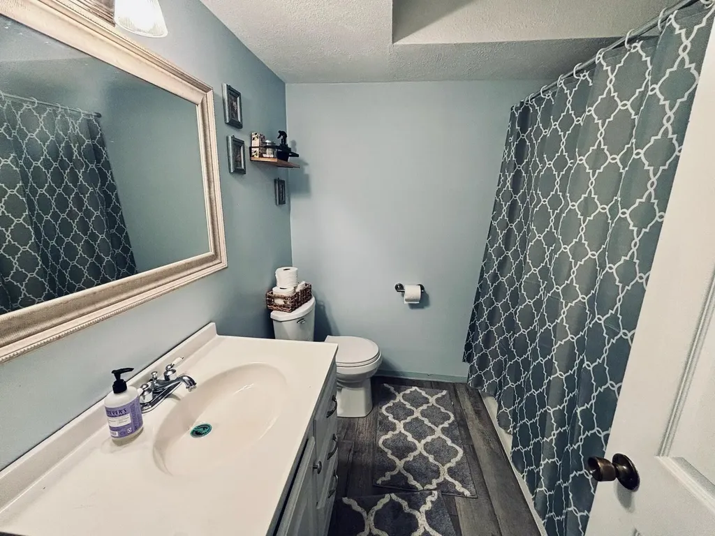 6097 S Johnson Road Montcalm Township MI 48838