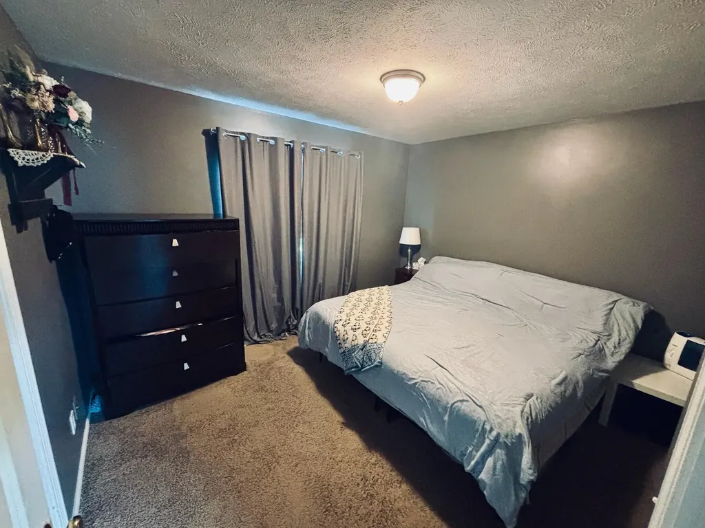 6097 S Johnson Road Montcalm Township MI 48838