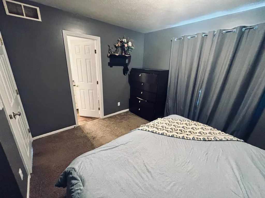 6097 S Johnson Road Montcalm Township MI 48838