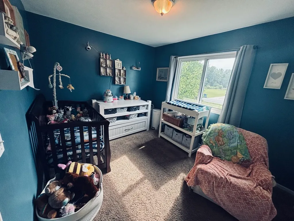 6097 S Johnson Road Montcalm Township MI 48838
