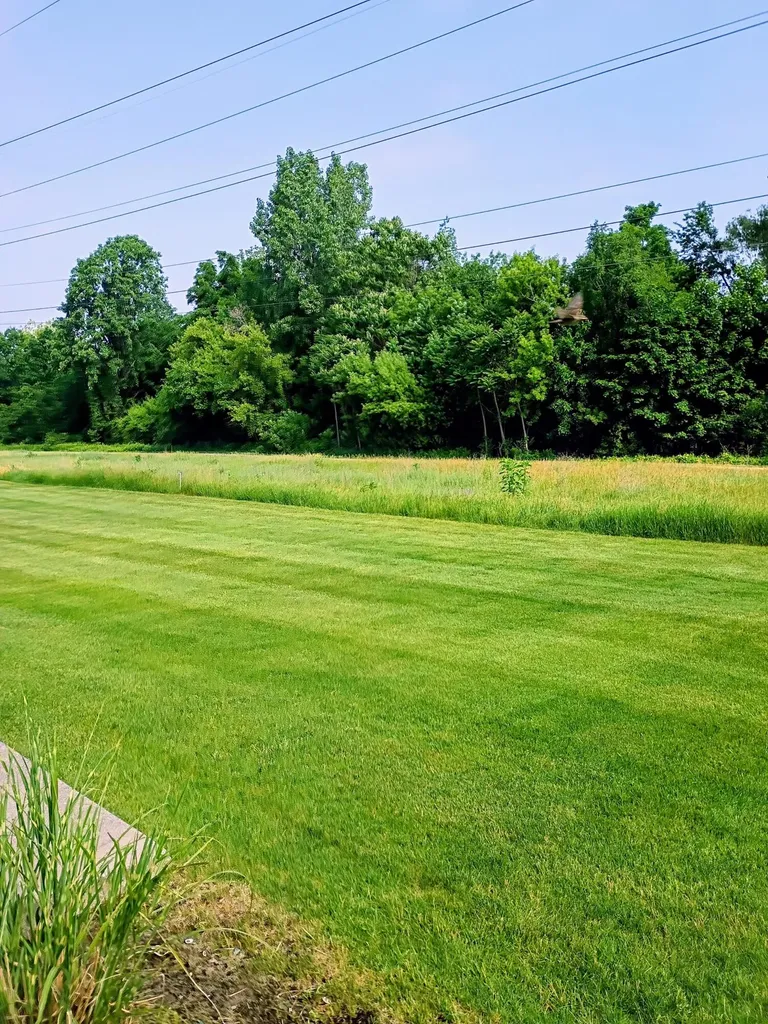 967 Andover Court SE Kentwood City MI 49508