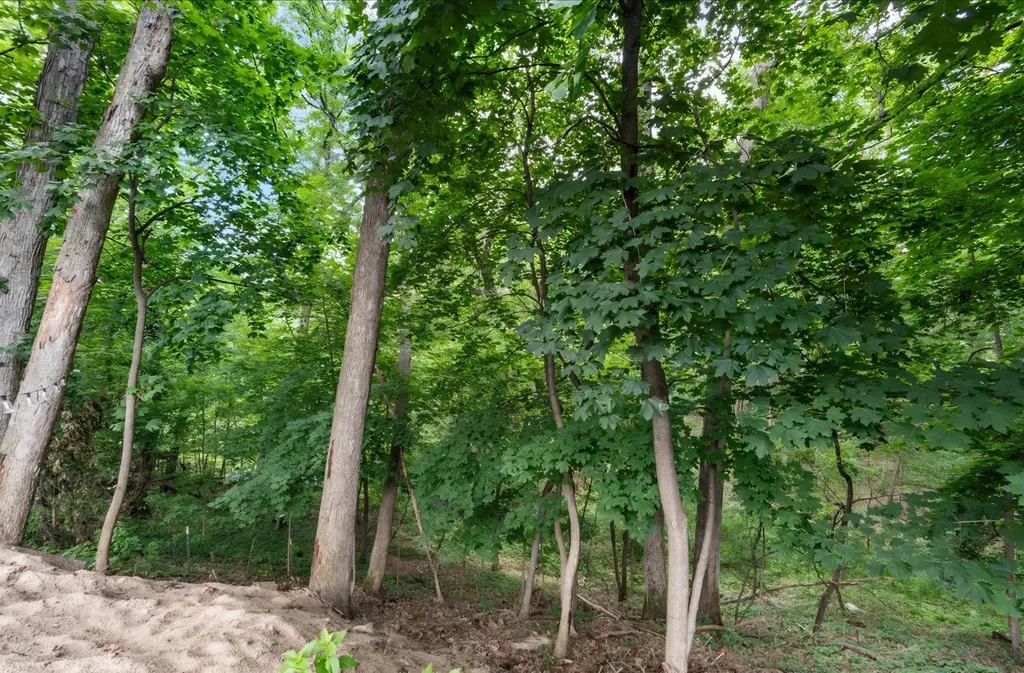 1944 Oakcliff Drive NE Grand Rapids Charter Township MI 49525