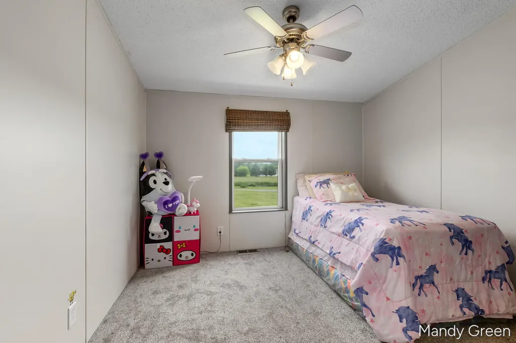 1007 Dildine Road Easton Township MI 48846