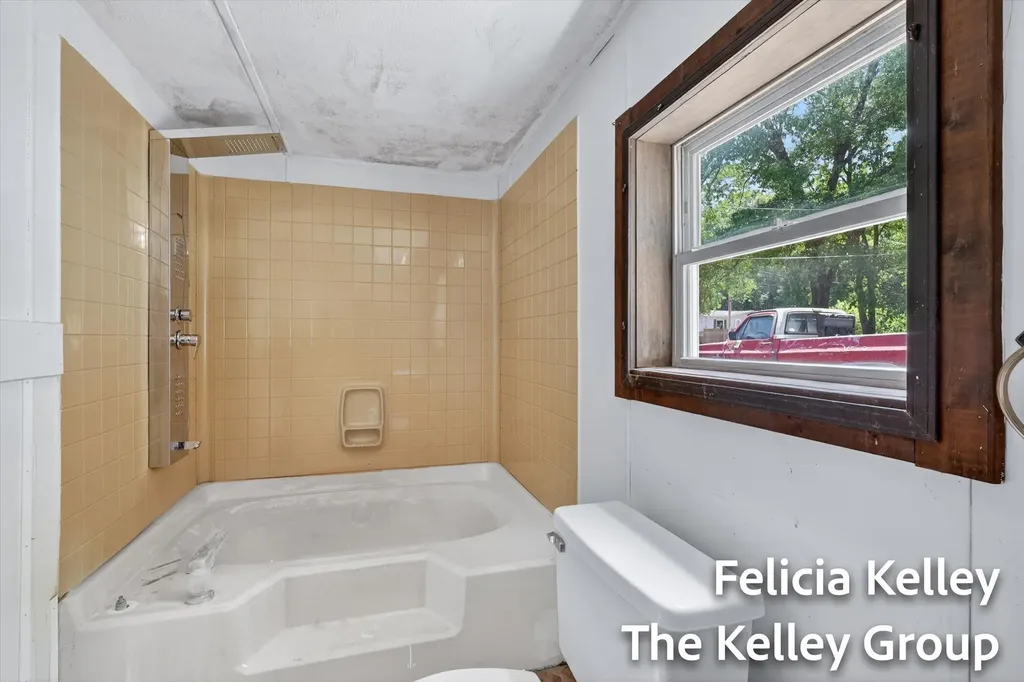17158 Seneca Court Winfield Township MI 49329