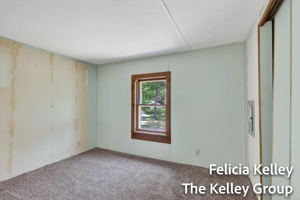 17158 Seneca Court Winfield Township MI 49329
