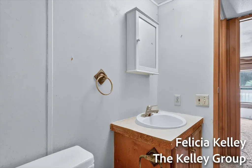 17158 Seneca Court Winfield Township MI 49329