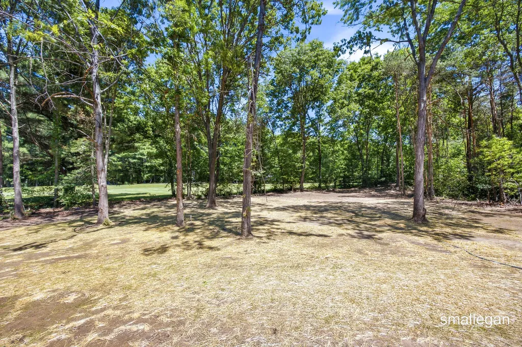 12905 Bowen Lake Drive Spencer Township MI 49326