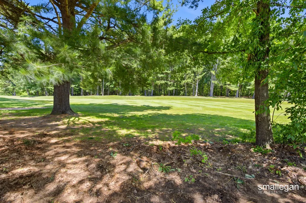 12905 Bowen Lake Drive Spencer Township MI 49326
