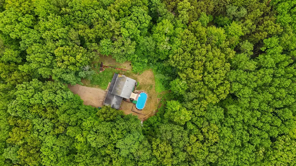 21537 W Kendaville Road Montcalm Township MI 49339