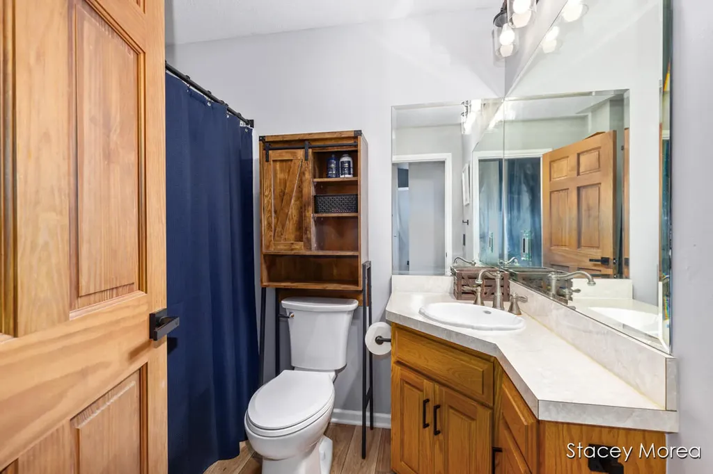 12173 Hart Street NE Oakfield Township MI 48838