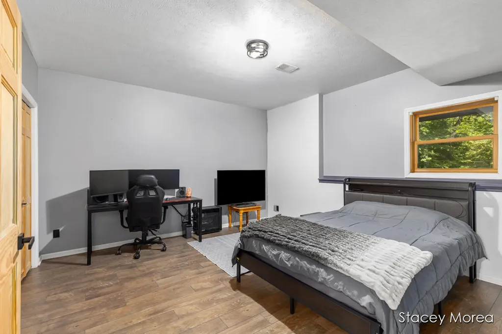 12173 Hart Street NE Oakfield Township MI 48838