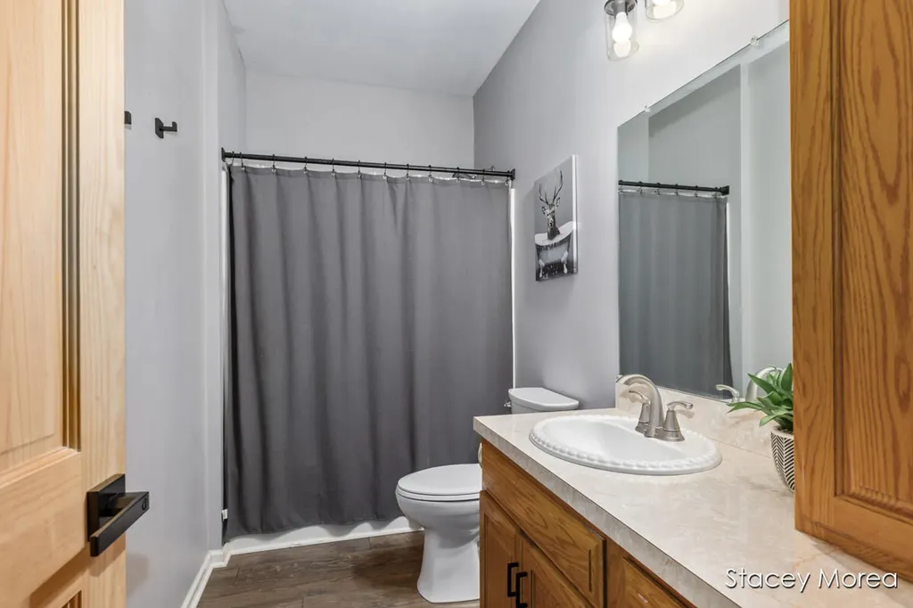 12173 Hart Street NE Oakfield Township MI 48838