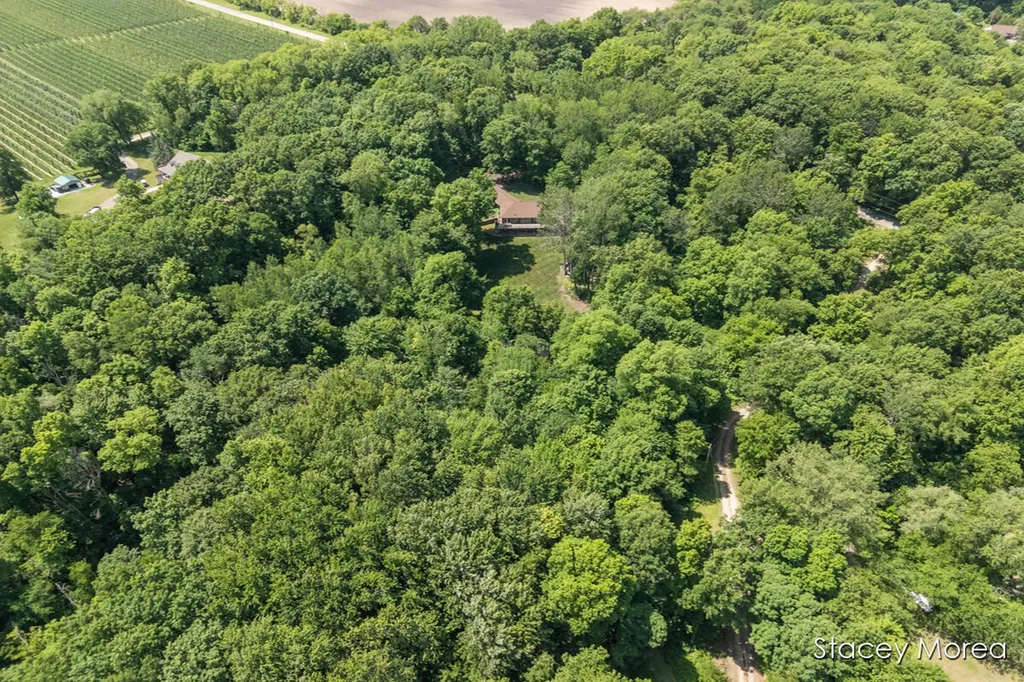 12173 Hart Street NE Oakfield Township MI 48838