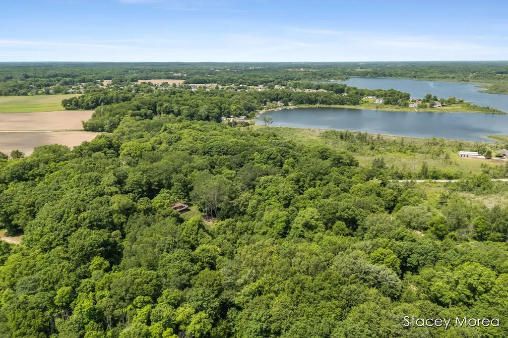 12173 Hart Street NE Oakfield Township MI 48838