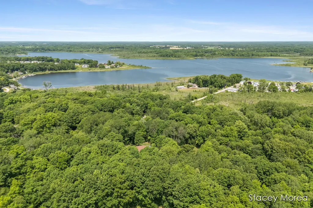 12173 Hart Street NE Oakfield Township MI 48838