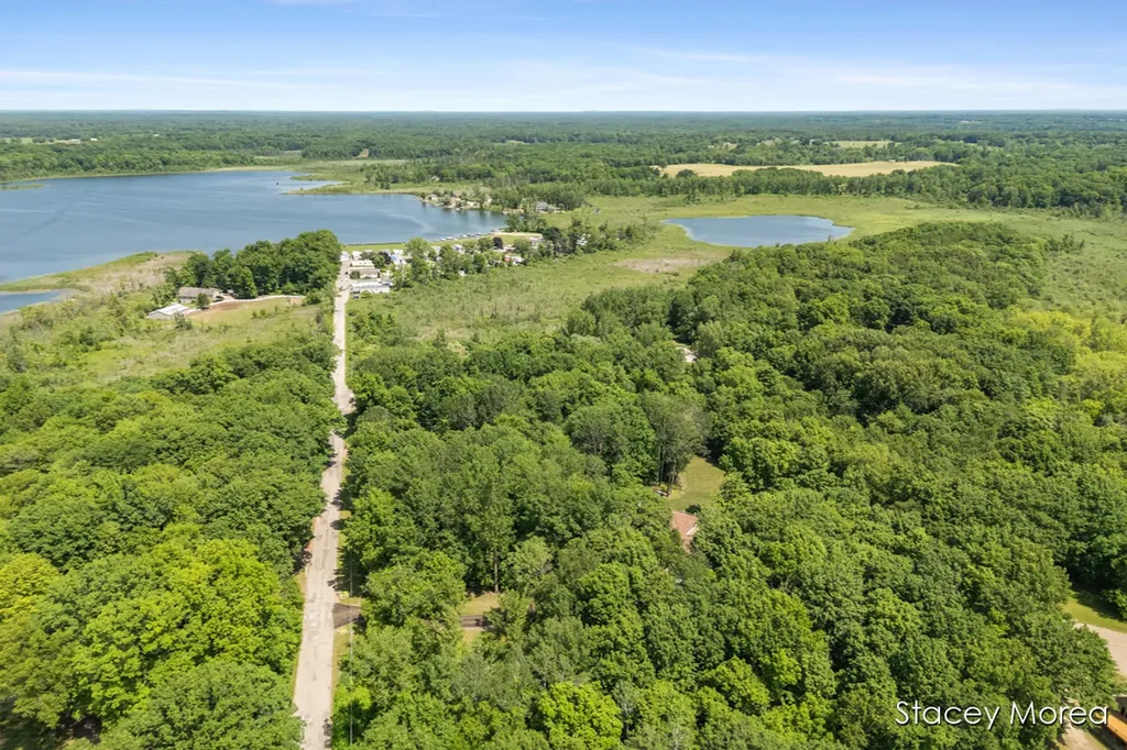 12173 Hart Street NE Oakfield Township MI 48838