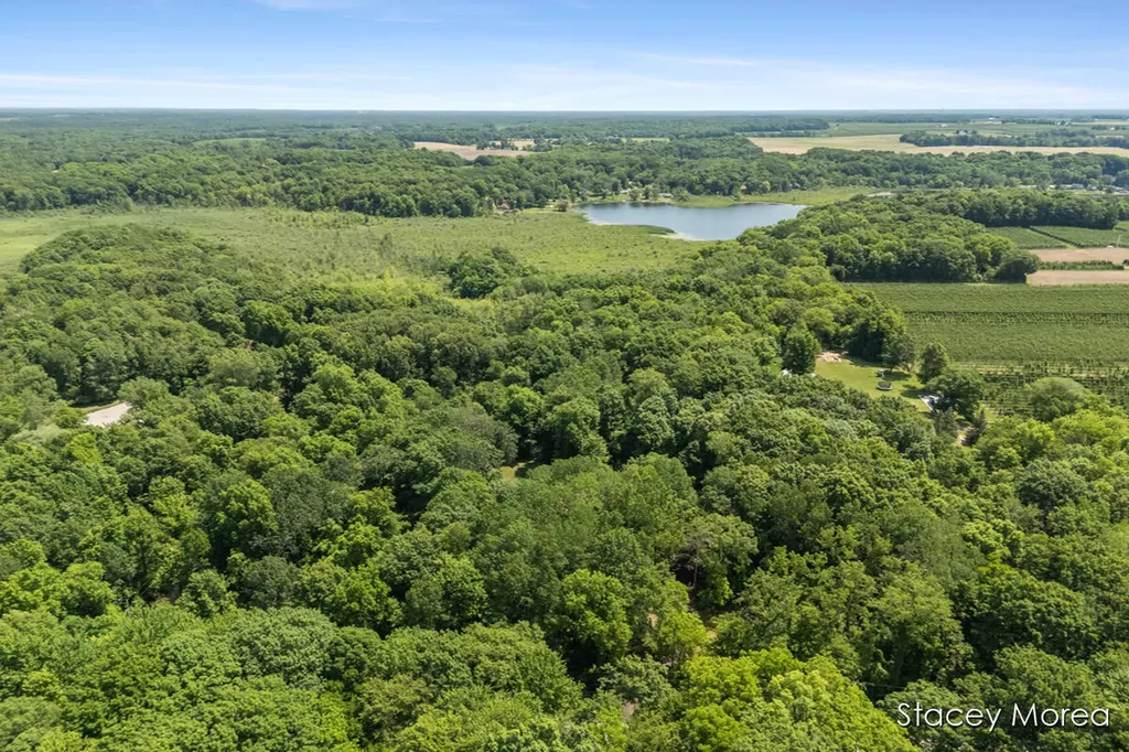 12173 Hart Street NE Oakfield Township MI 48838