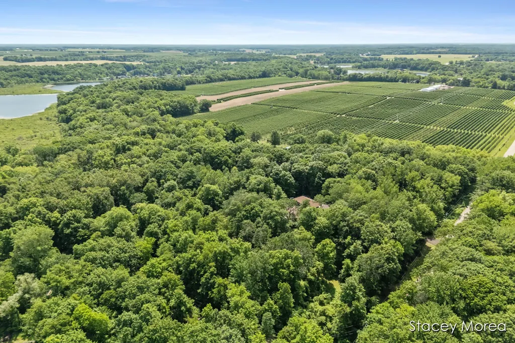 12173 Hart Street NE Oakfield Township MI 48838