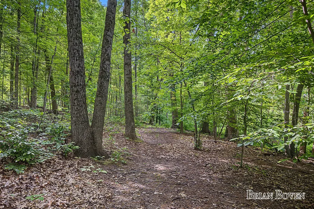 4383 Honey Creek Avenue NE Cannon Township MI 49301